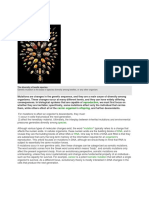 Gene Mutation PDF