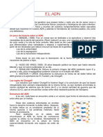 TALLER_DE_ADN.pdf