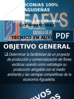 Exposición Proyecto