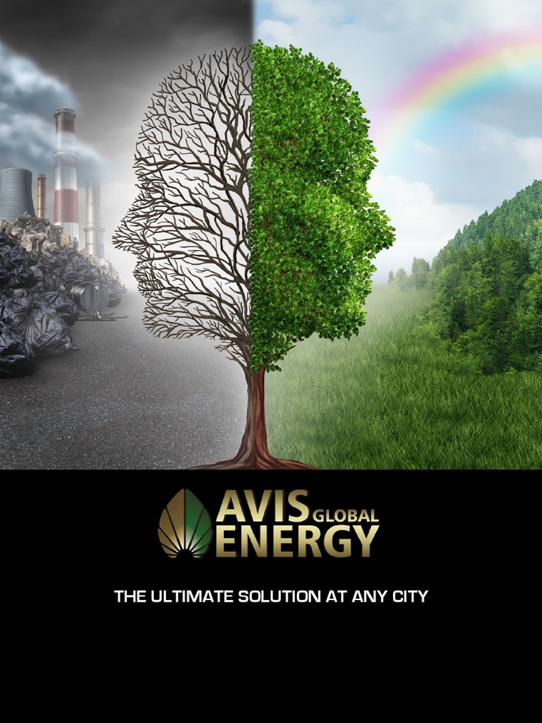 The Ultimate Solution at Any City Accountants' Report To The Board of