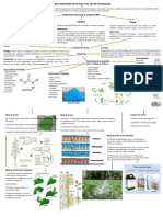 Sintesis Manejo Integrado de Plagas