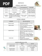 Adaptações - DENTIÇÃO.doc