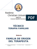 Familia de Origen Del Terapeuta Tecnico