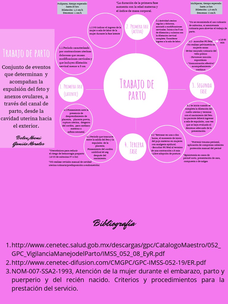 Mapa Mental Trabajo de Parto | PDF | Parto | Obstetricia