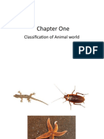 Chapter One: Classification of Animal World