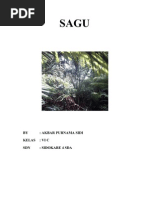 Download SAGU by Ridho Kharisma Sidi SN45485704 doc pdf