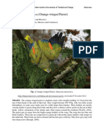 Amazona Amazonica - Orange-Winged Parrot PDF