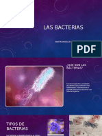 Martín A Las Bacterias