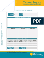 Anexo 10. Modelo Programa de Auditoria