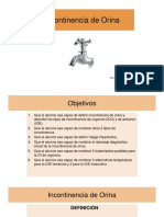 1.incontinencia de Orina PDF