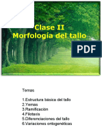 Versión ampliada de Tallo Morfología TPVO-LAGE 2020