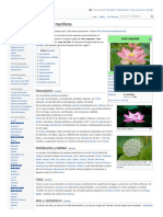 wikipedia_org (3)i