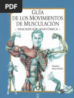 Musculanat PDF | PDF