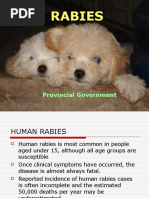 Animal Bite Module 2021 Pdf Rabies Vaccines