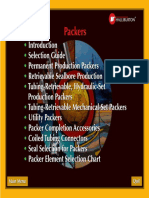 Packers PDF