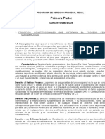 Programa de Derecho Procesal Penal... Tesis