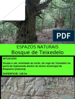Bosque de Teixedelo-.Pps PDF