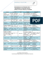 Cronograma de Actividades 2020-1