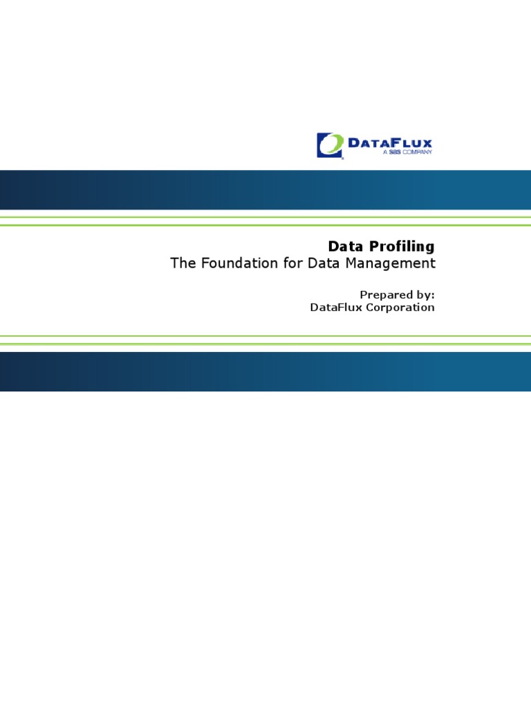 Data Profiling Whitepaper 1003 Final | PDF
