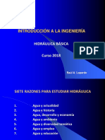 Hidráulica Básica PDF