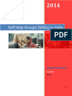 Self Help Groups (SHGS) in India: Ethiopian Delegation