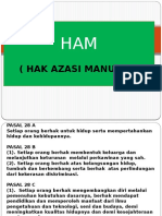 PP HAM