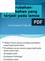 Perubahan Pada Lansia