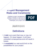 PM-Risks-and-Constraints