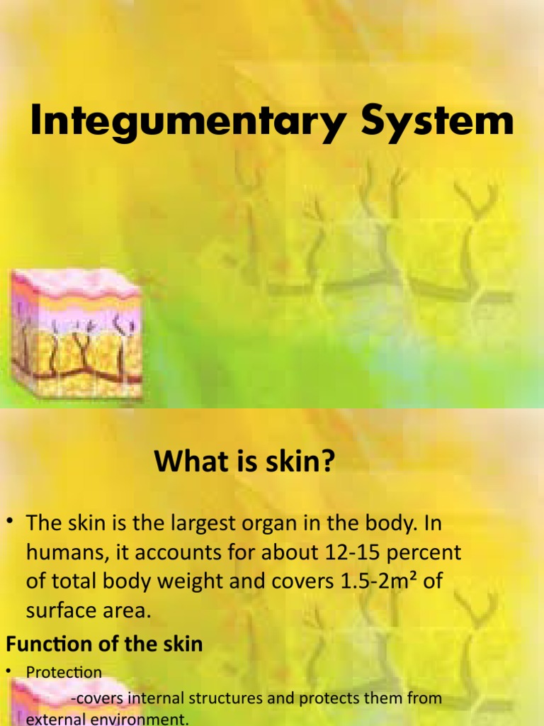 What Is Skin PDF