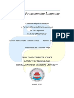 Python Report PDF