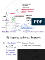 Vdocuments - MX - Polysaccharides Glycosides Nucleic Acids Shikimate Pathway Aromatic Compounds