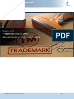 DL101 Module4 Trademarks PDF