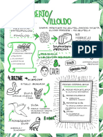 Villoldo Summary Illustration - Croatia 1 PDF