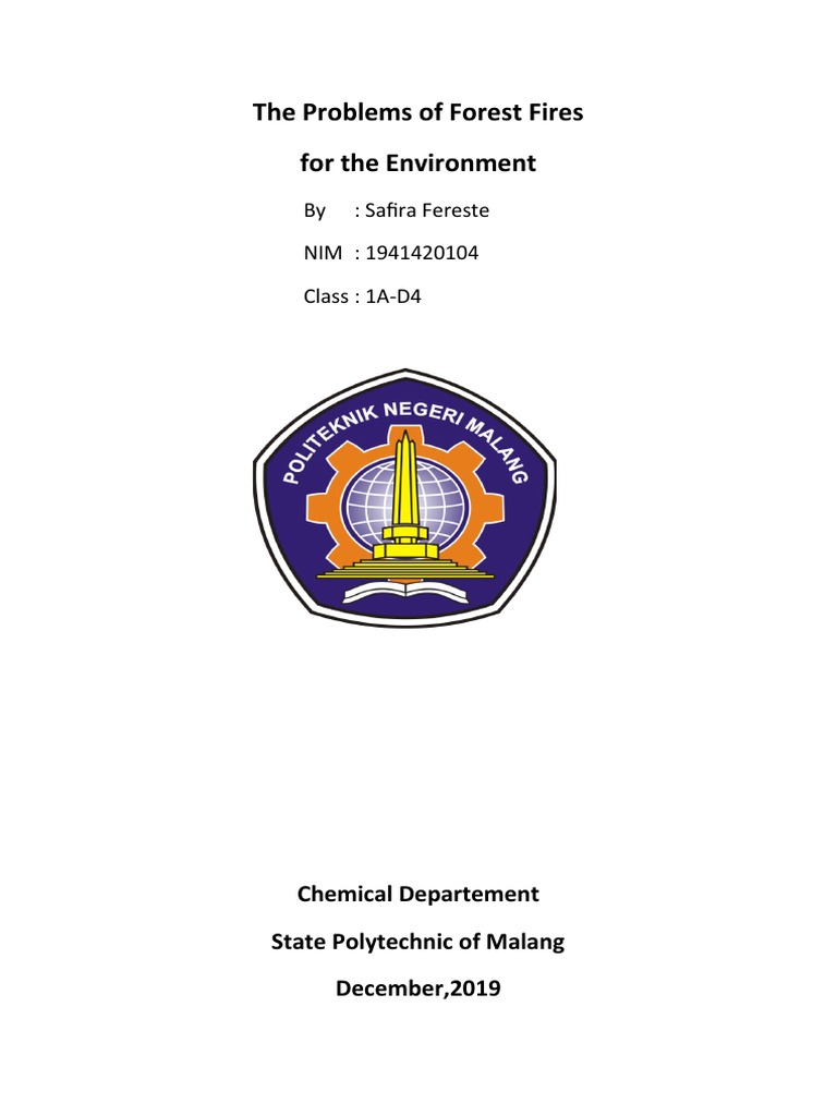 Forest Fire Management Challenges | PDF | Wildfire | Fires