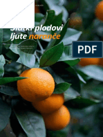 Ice I Pice DESA Dubrovnik PDF