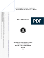 Bahan Download Buah Naga PDF