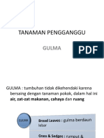 Jenis-Jenis Gulma Dan Cara Pengendaliannya