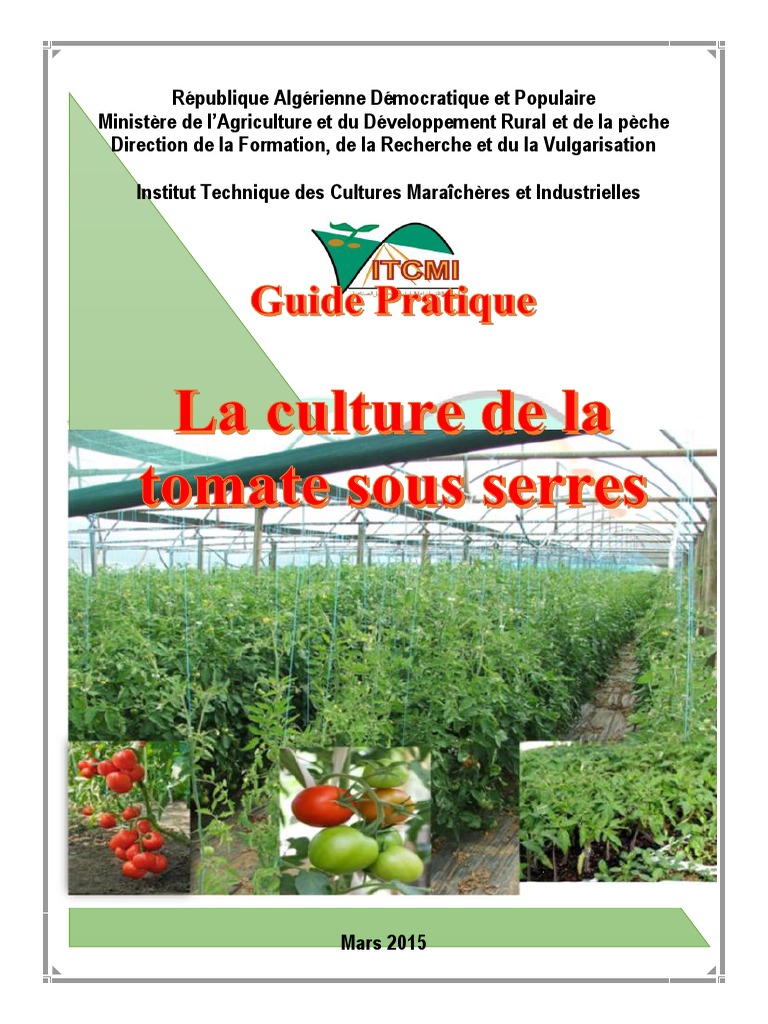 Culture du concombre en serre [Guide complet] - France Serres