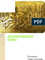 amir ENTOMOGENOUS FUNGI