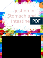 Digestion in Stomach and Intestines Grade 4