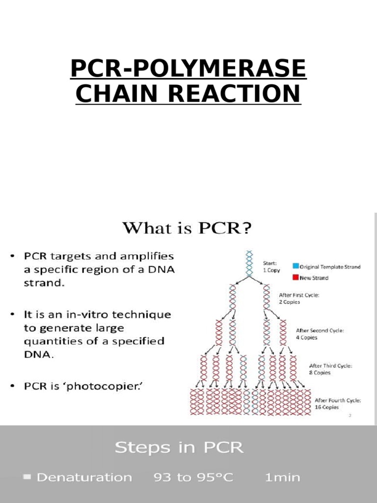 PCR Techniques for Disease Detection | PDF