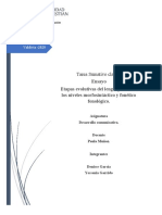 NIVELES DEL LENGUAJE UNA VARIABLE EN LA