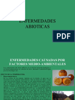 Clase6 Enfermedades Abioticas.ppt