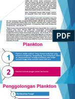 05 - Plankton