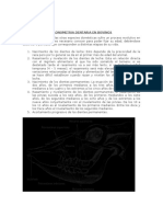 Cronología dentaria para determinar la edad en bovinos