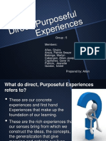 Direct Purposeful Experieince