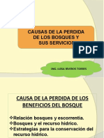 clase 5. Causa de la perdida de los bosques-escorrentía.pptx