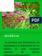 fitopatologia.pptx