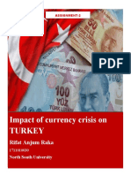 Impact of Currency Crisis On Turkey: Rifat Anjum Raka