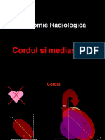 Anatomia CORDULUI SI MEDIASTINULUI (pt curs stud).ppt